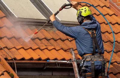 Démoussage et hydrofuge de toiture à Rudeau-Ladosse